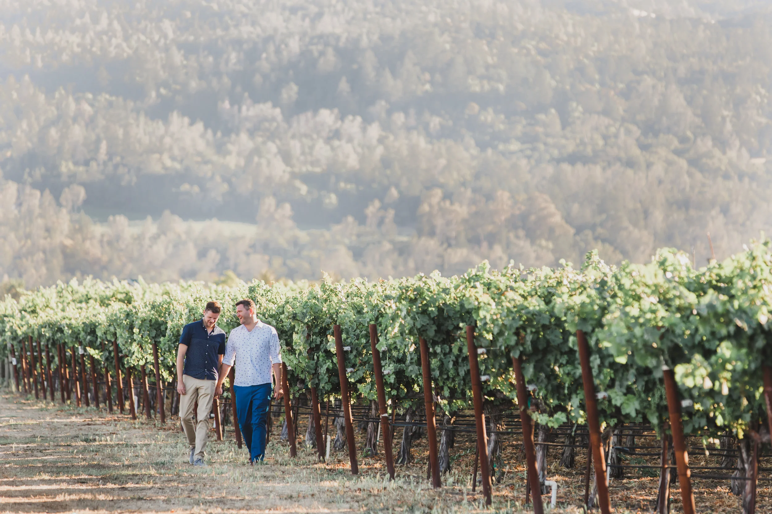 Vineyard Engagement Photographer