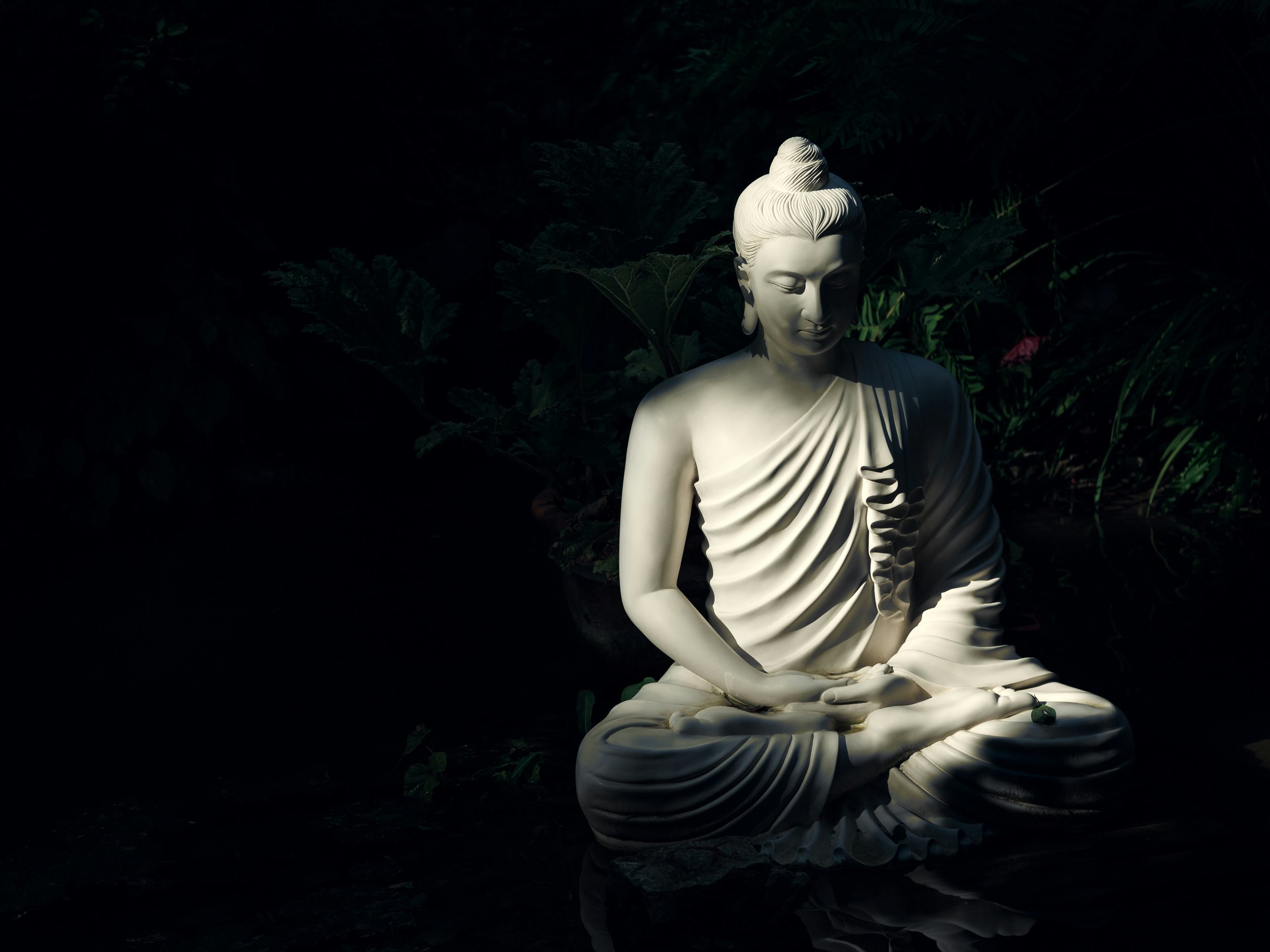 Spotlight on Solutions: The promising alliance between faith and mental health care