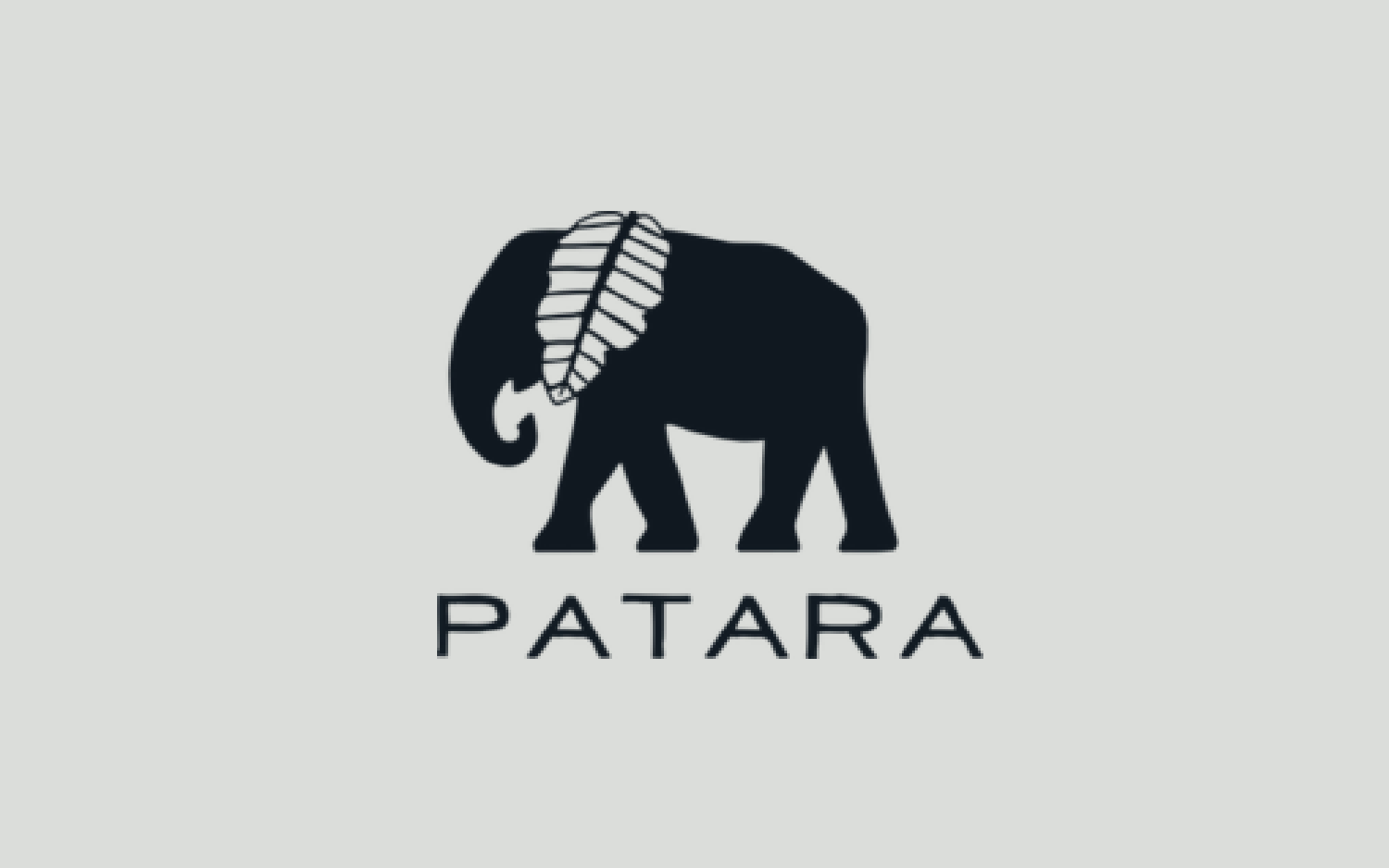 Patara Shoes.png