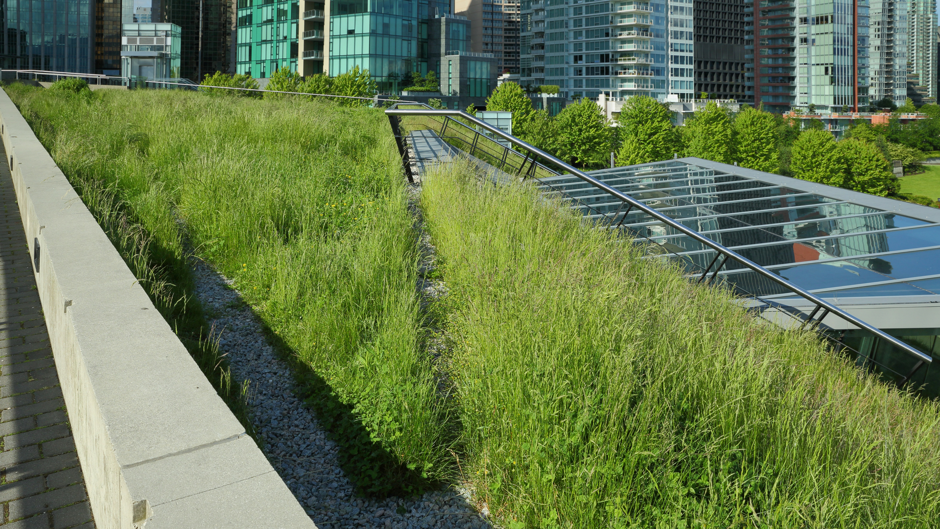 Why You Should Get a Rooftop Garden Today