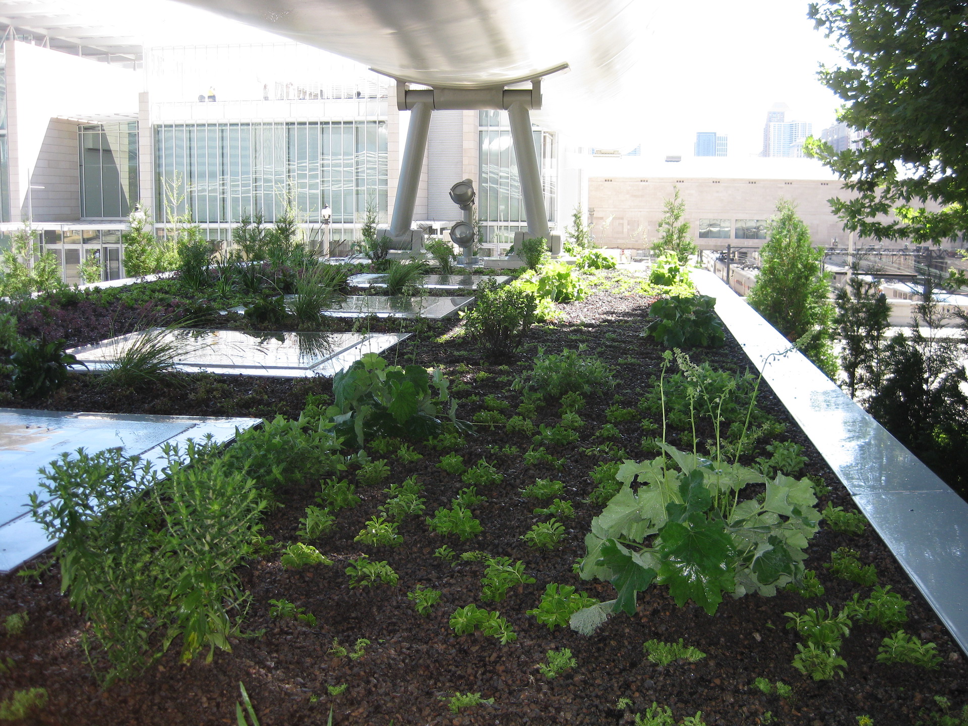 Lurie Garden Maintenance Building