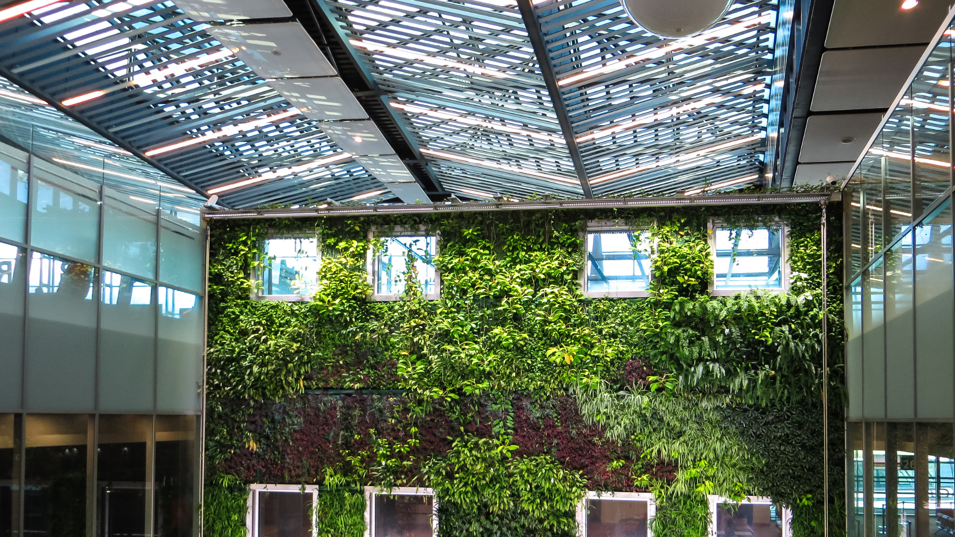 How Green Are We REALLY?