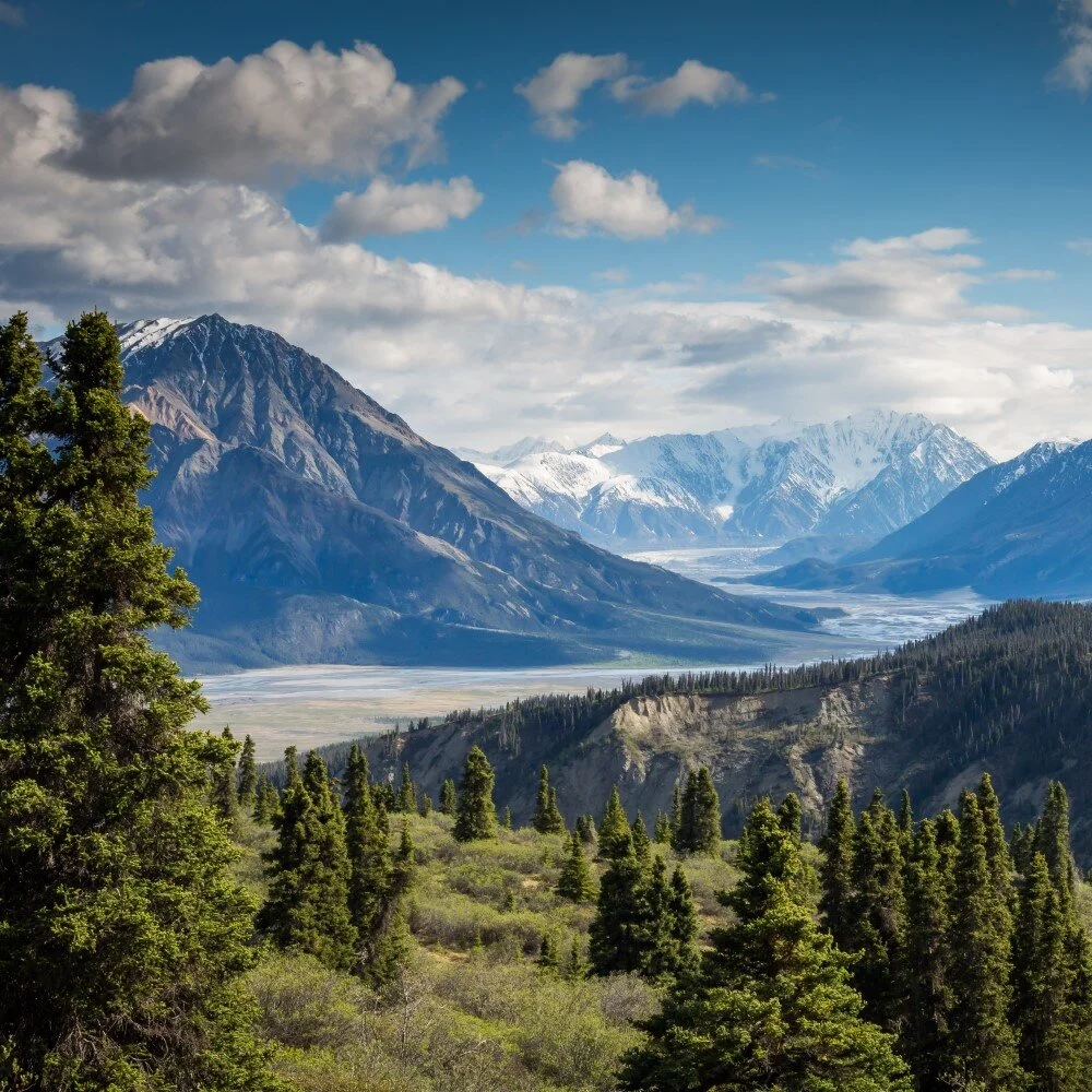 What Is Good Stewardship?