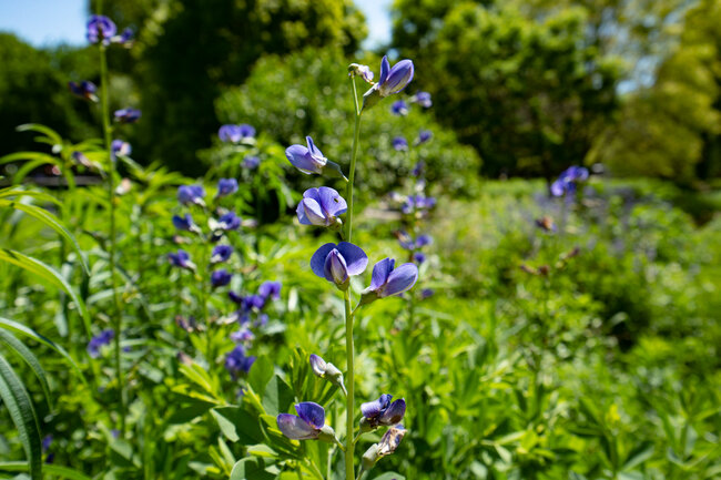 An Interview with Jack Pizzo