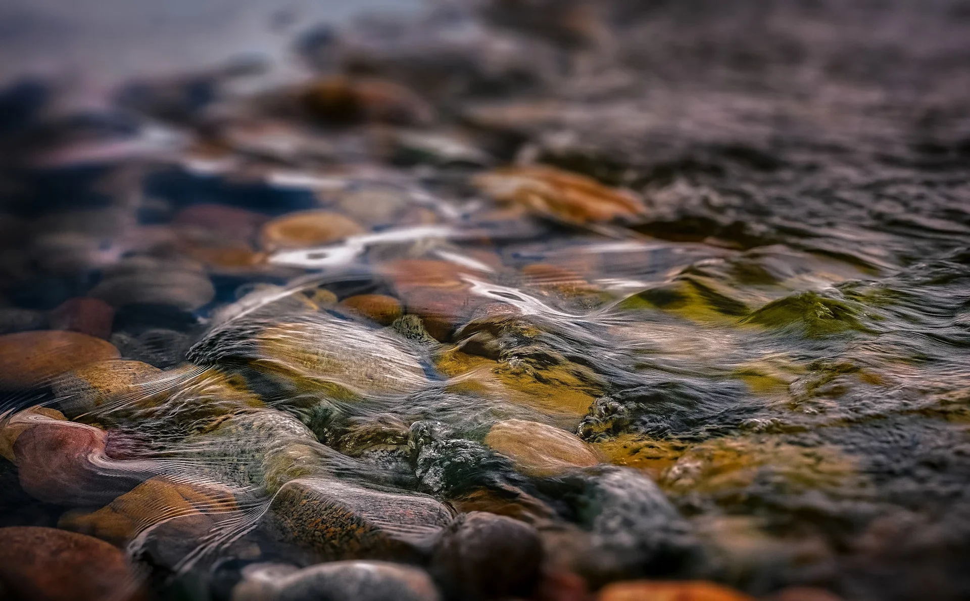 What Is Stormwater Management and How Can You Help?