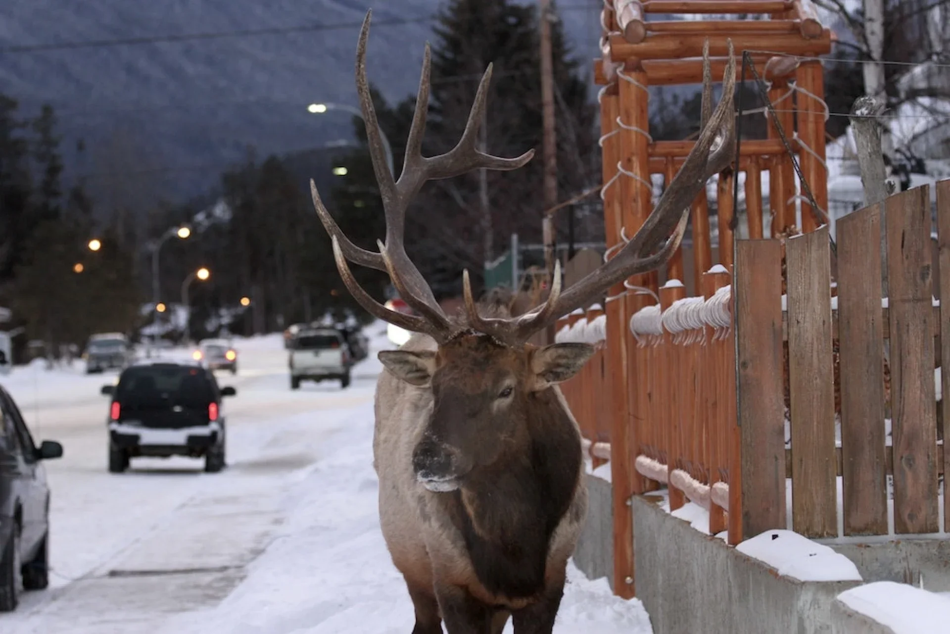 How to Use Urban Ecological Design to Help Cities Prosper