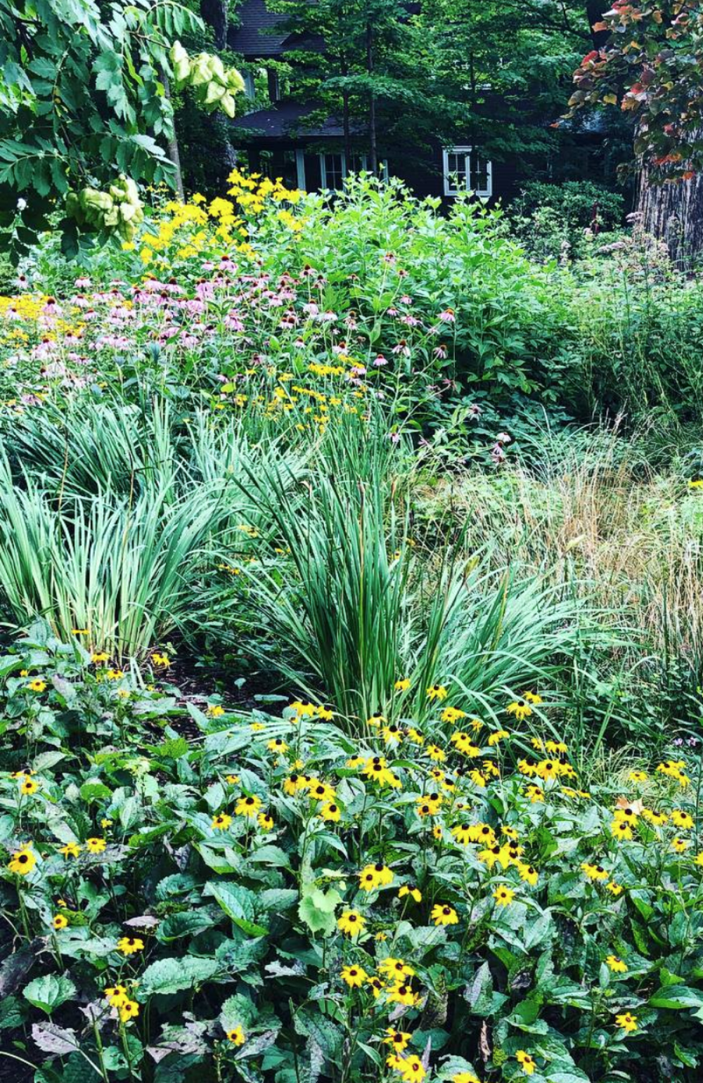 How to Choose the Right Locations for Planting Natives