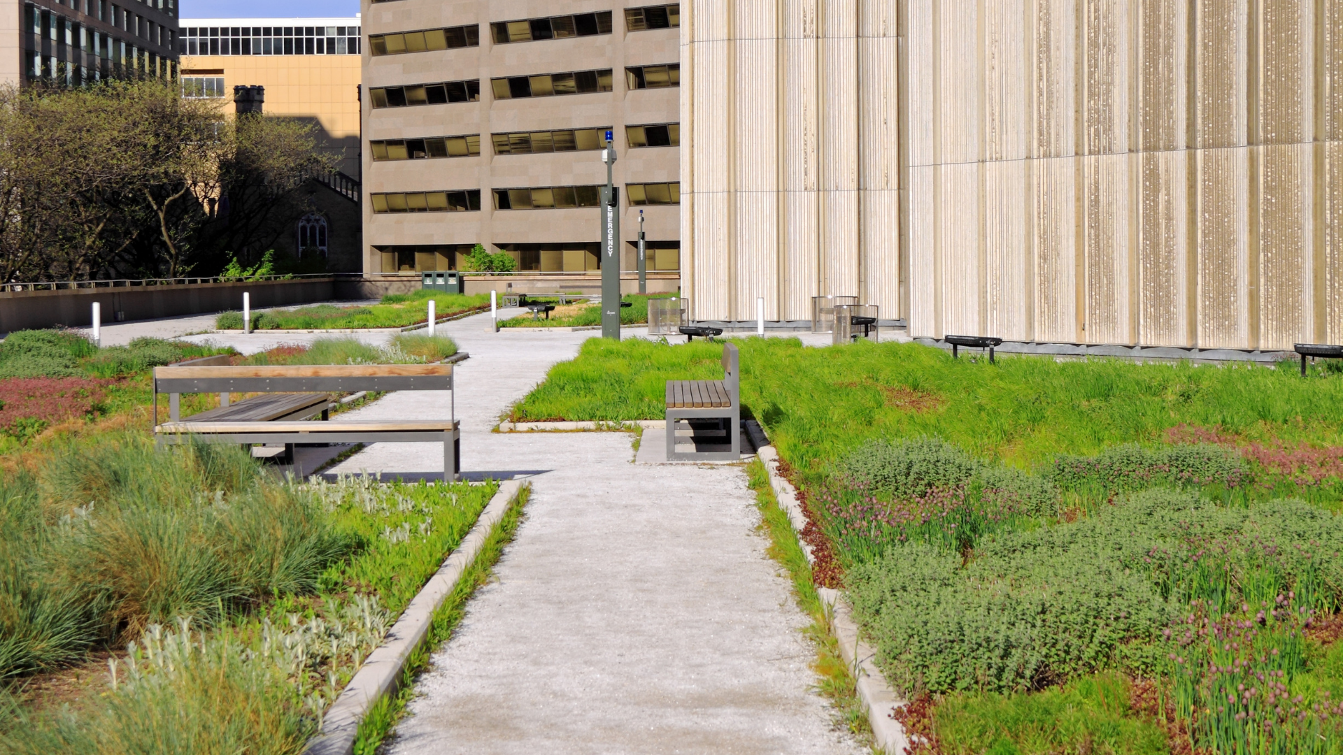 Should You Get a Green Roof?