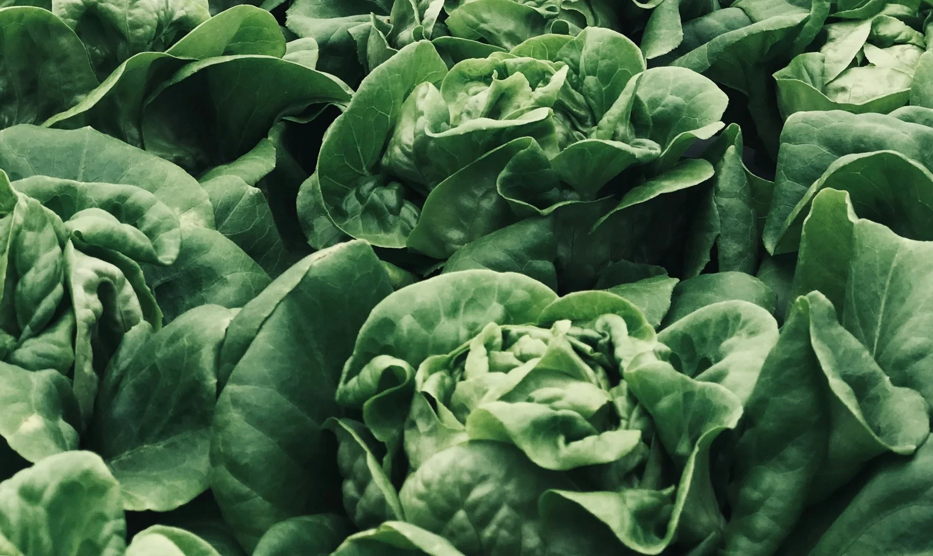 SPOTLIGHT: Paris Will Soon Brag World’s Largest Rooftop