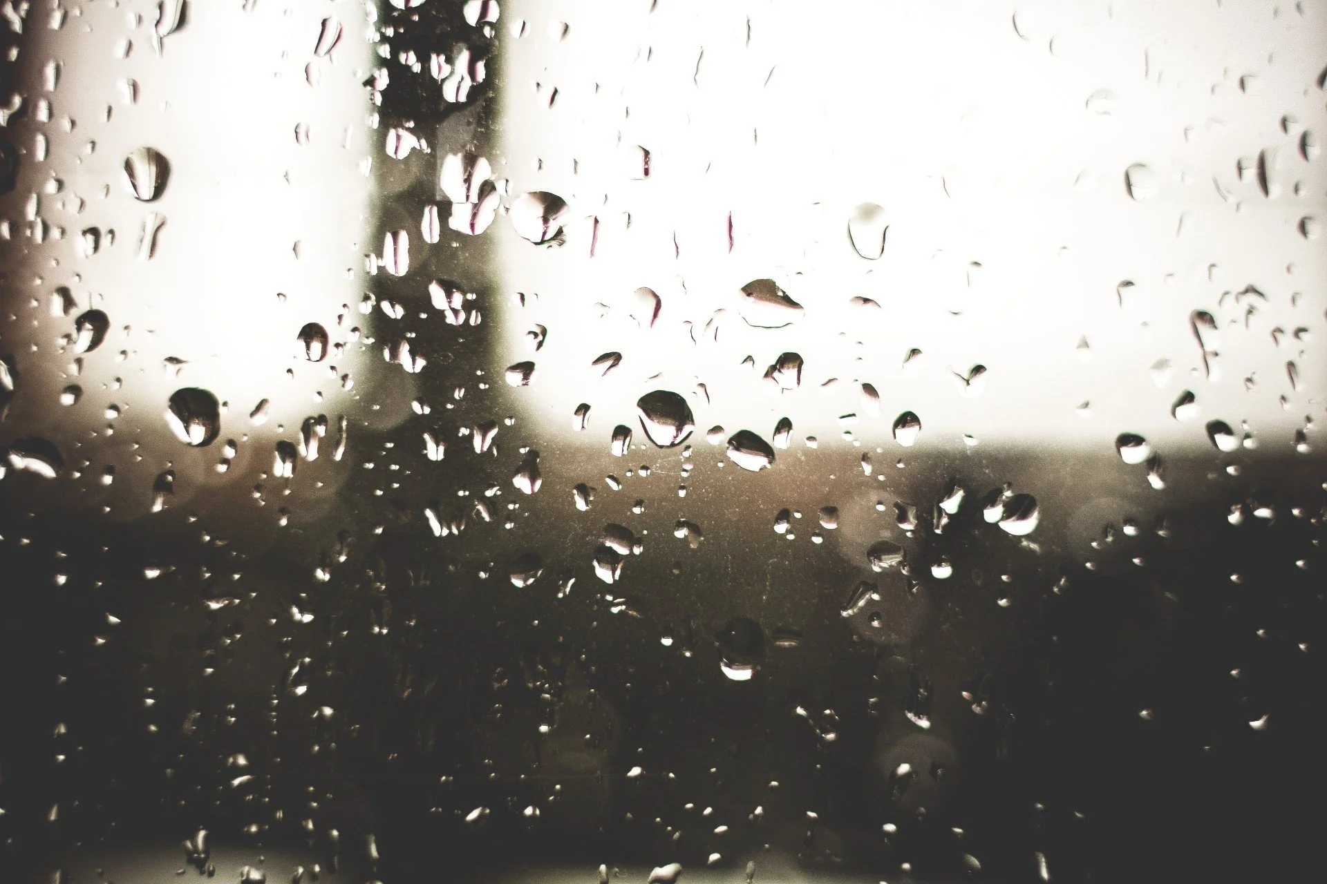 Are You Missing the Benefits of Green Stormwater Infrastructure?