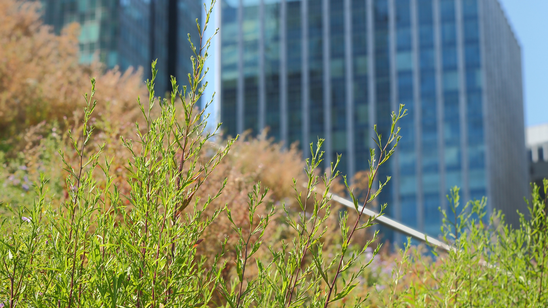 How Green Is the Green Building Industry REALLY?