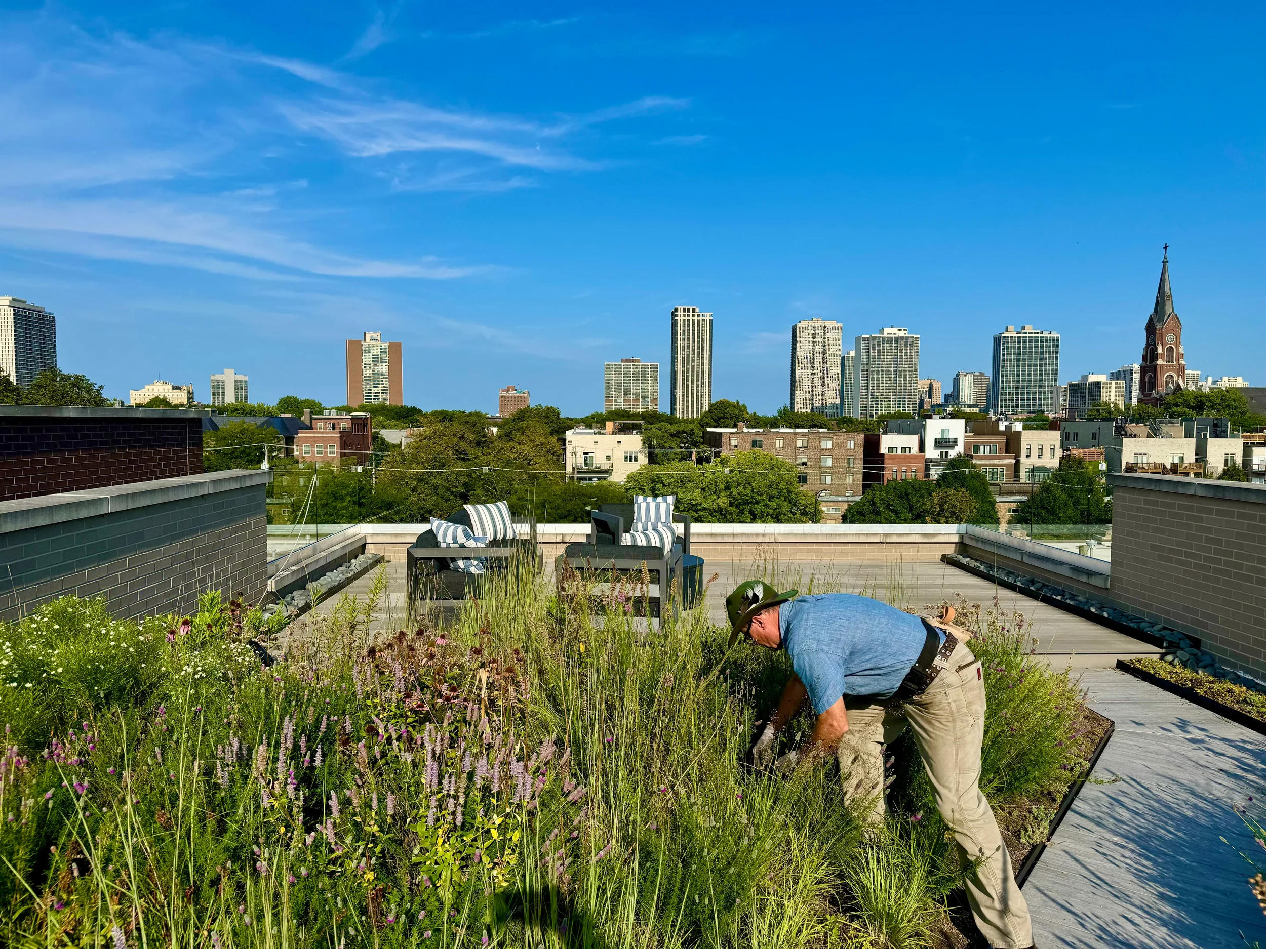 Maintaining Urban Green Spaces: Tips for Sustainable Stewardship