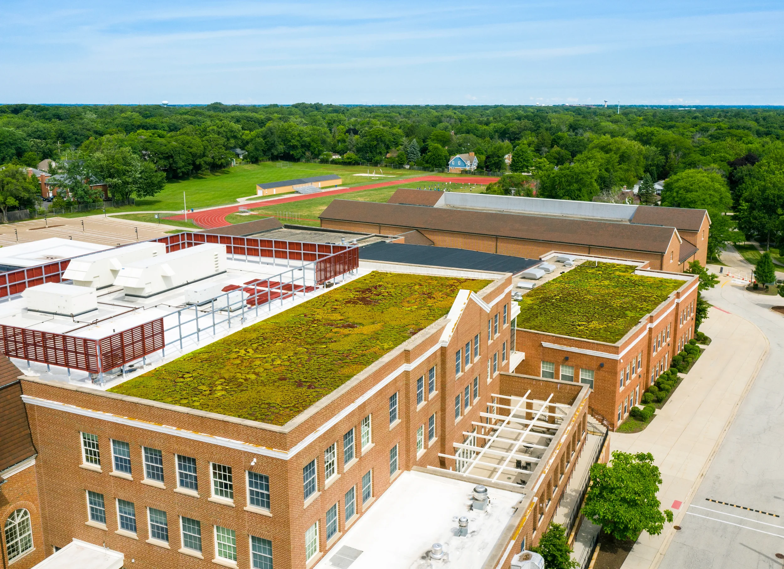 The Green Roof Installation Process: What to Expect from Design to Completion