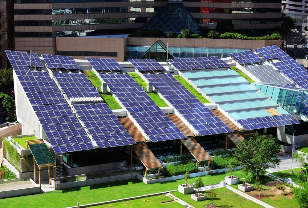 Enhancing Energy Efficiency with Green Roofs and Renewables