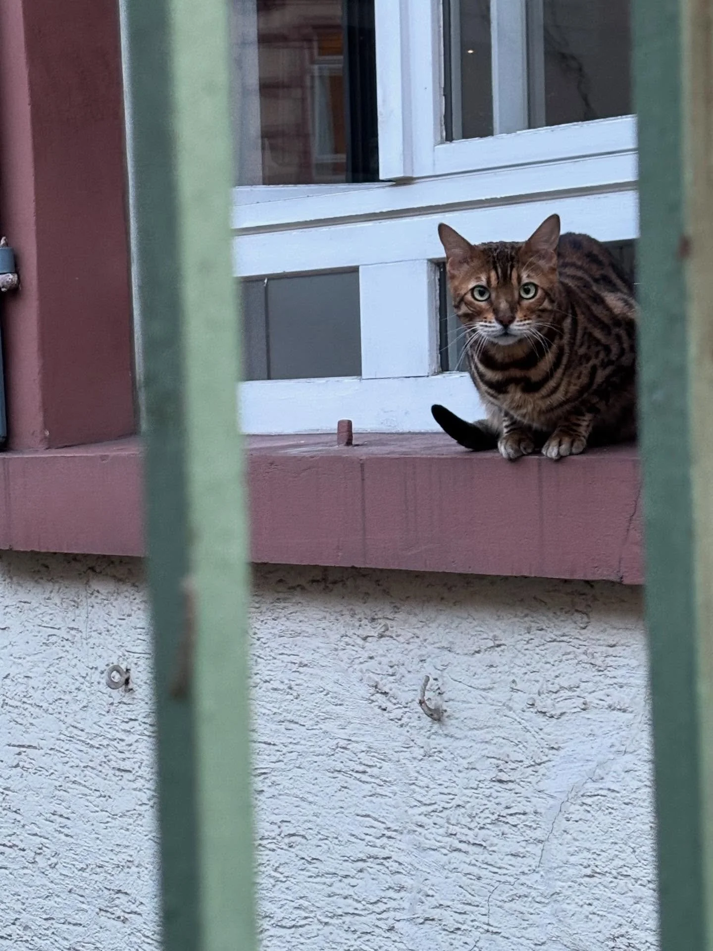 Today @isgfrankfurt and around town.