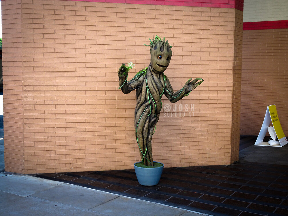 Nothing to see here, just a man dressed as an extraterrestrial tree monster in downtown Santa Monica.