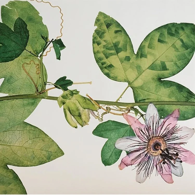 the nature of things