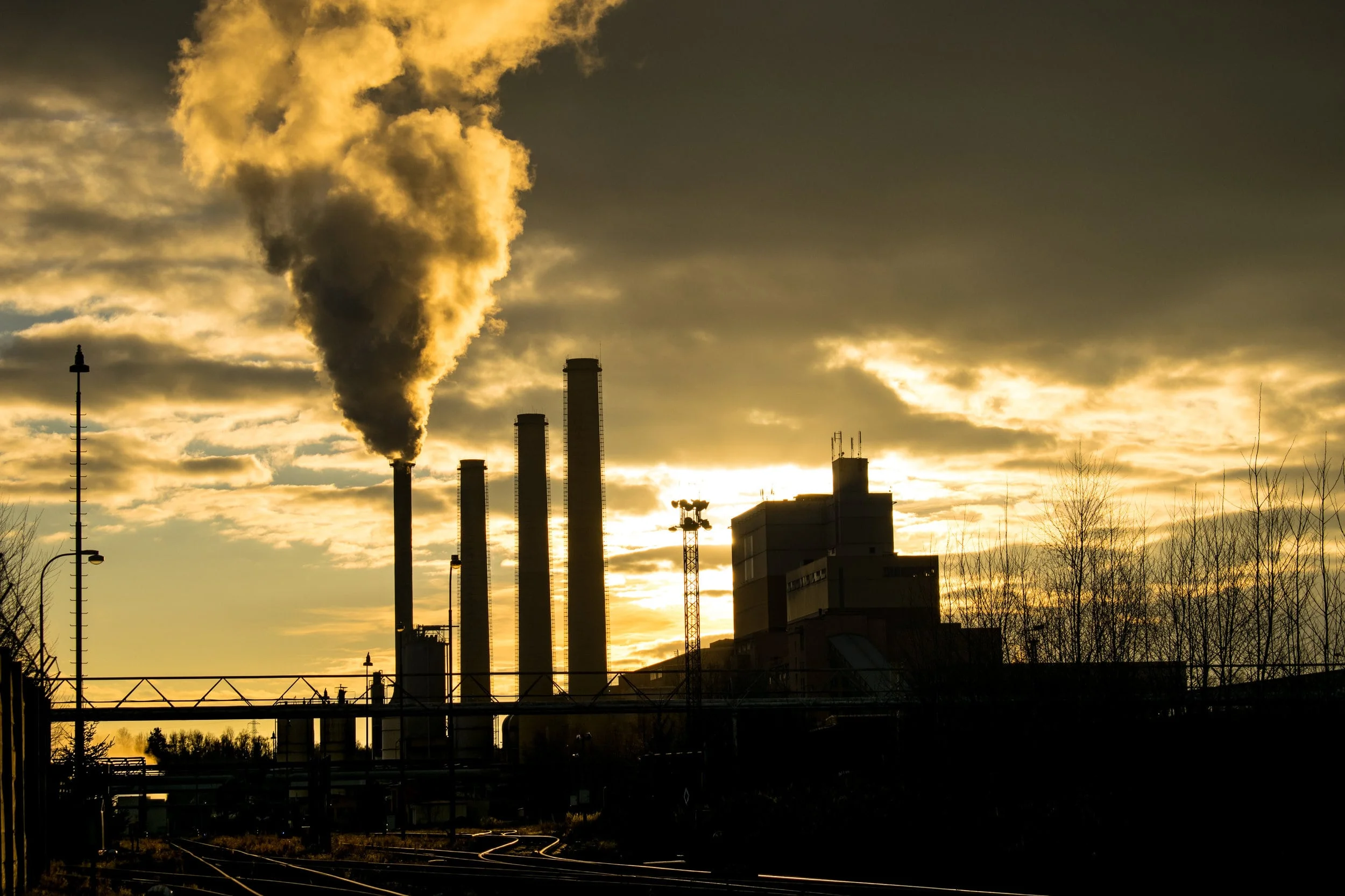what are the environmental penalties-min.jpeg
