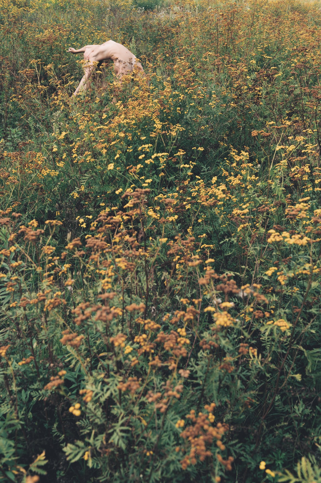 FSM_2645.jpg