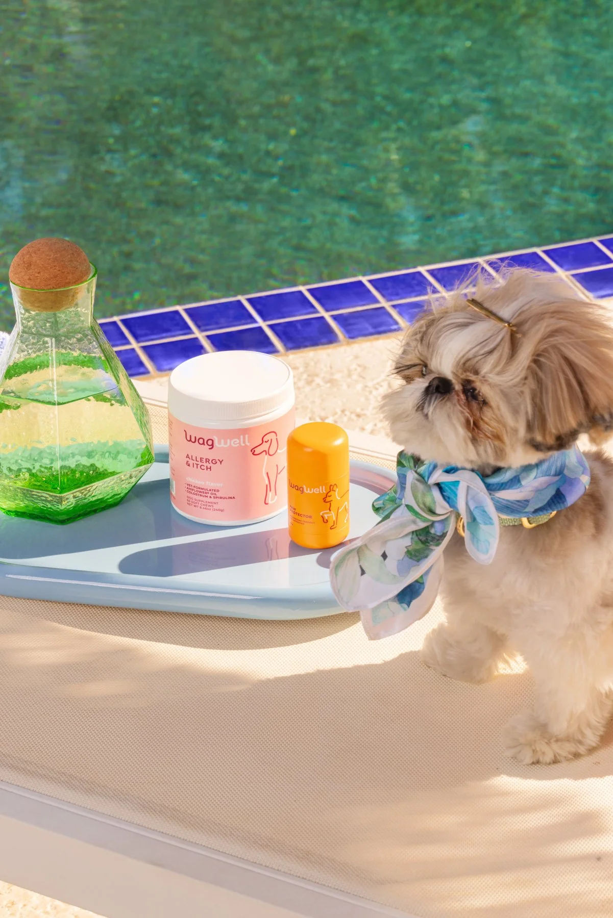 WW PalmSprings1690.jpg