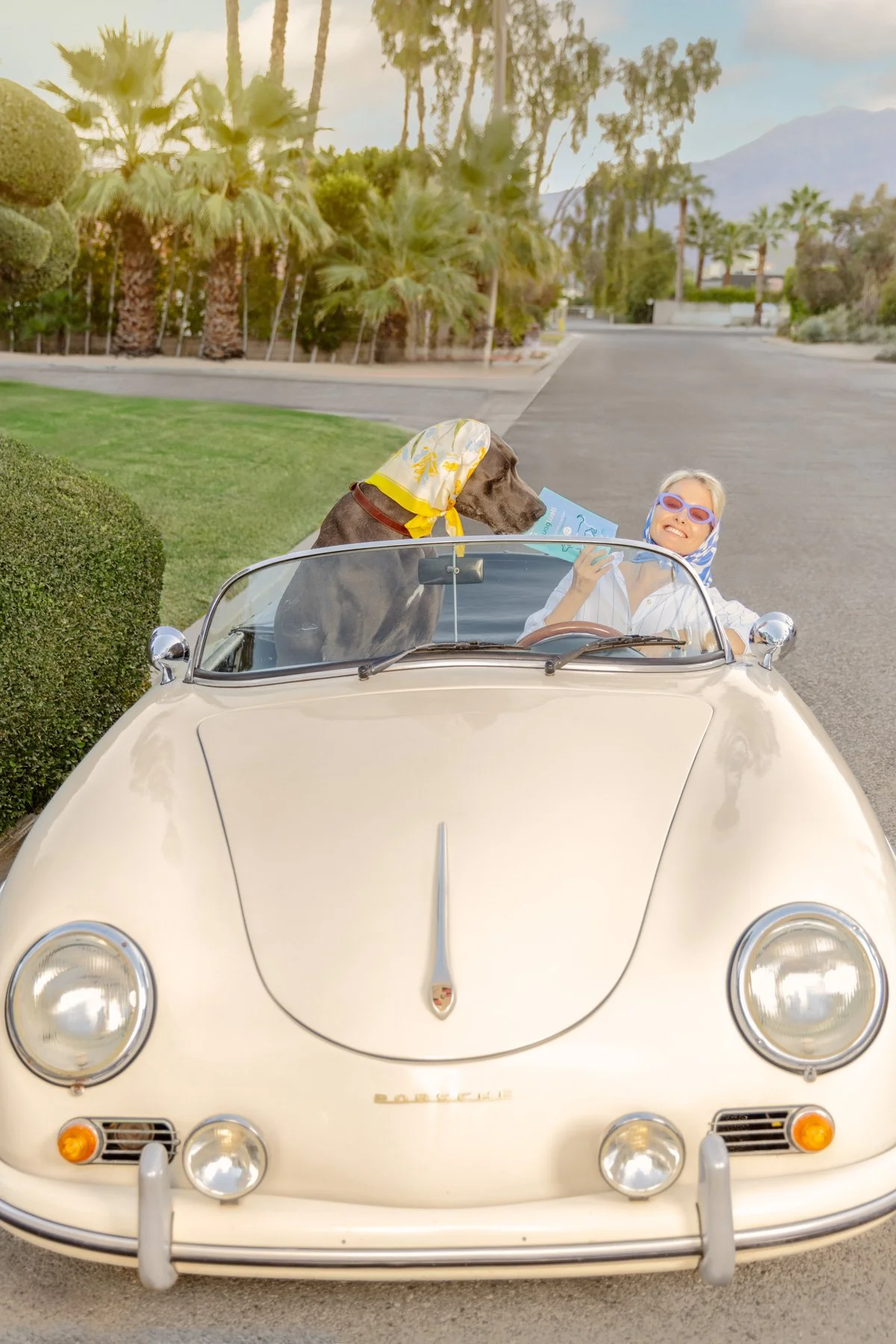 WW PalmSprings2038.jpg