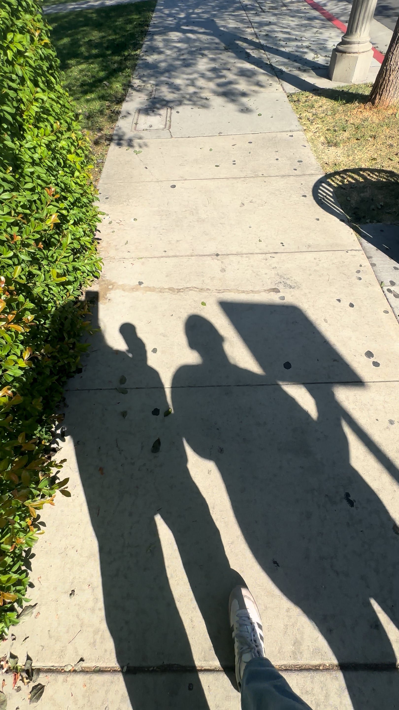 Two Friends ShadowsS.jpg