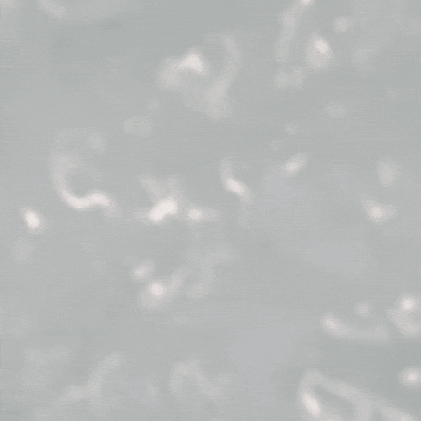 Moving Water and Sun Light Video