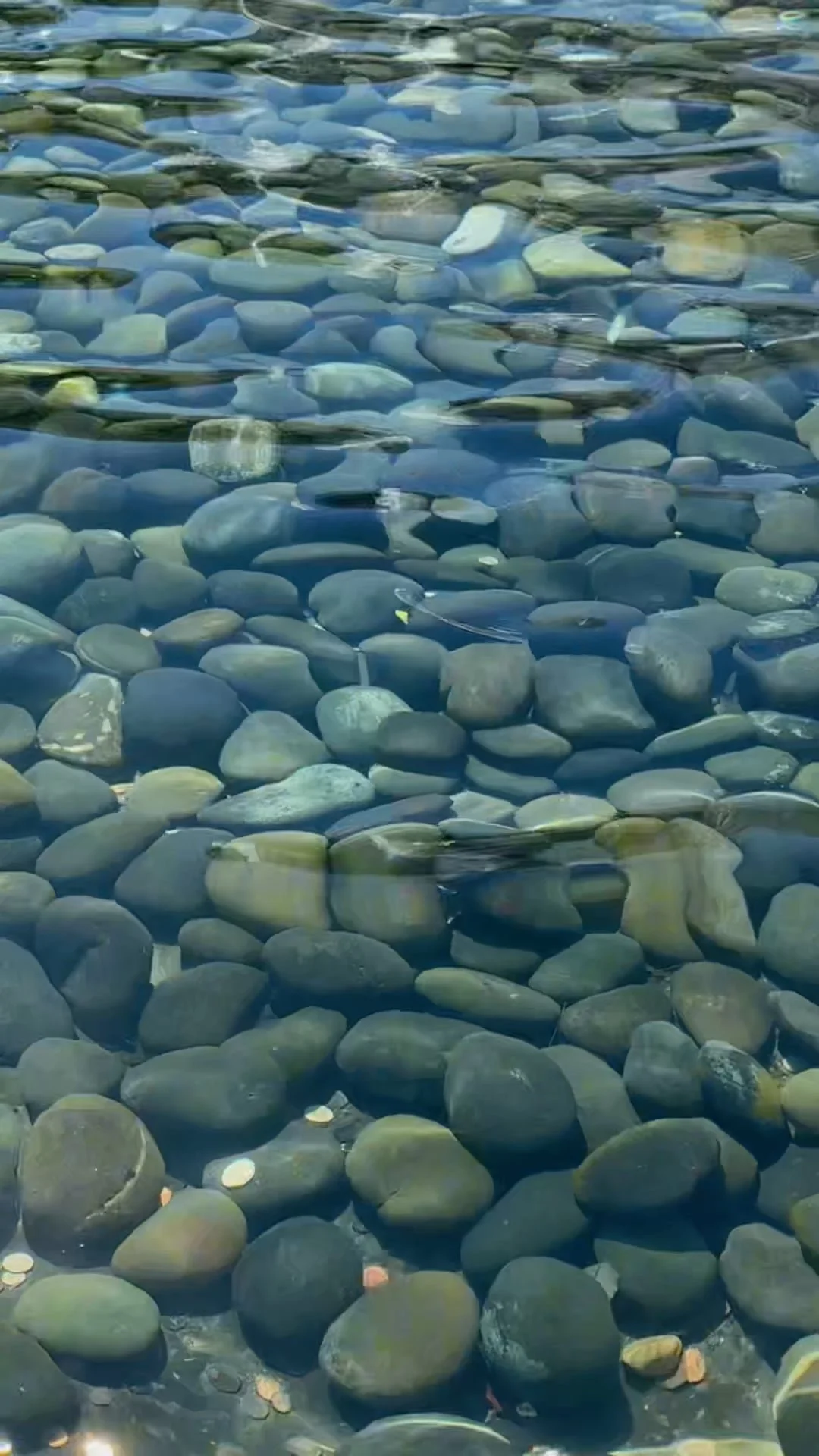 Sunlit Water Ripples.jpg