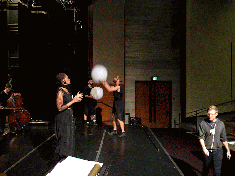 P1130519-ANIMATION.gif