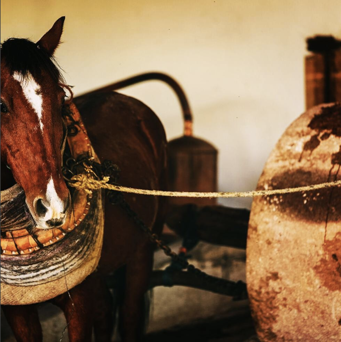 Meet Paquiao - the guy in charge of the milling.
