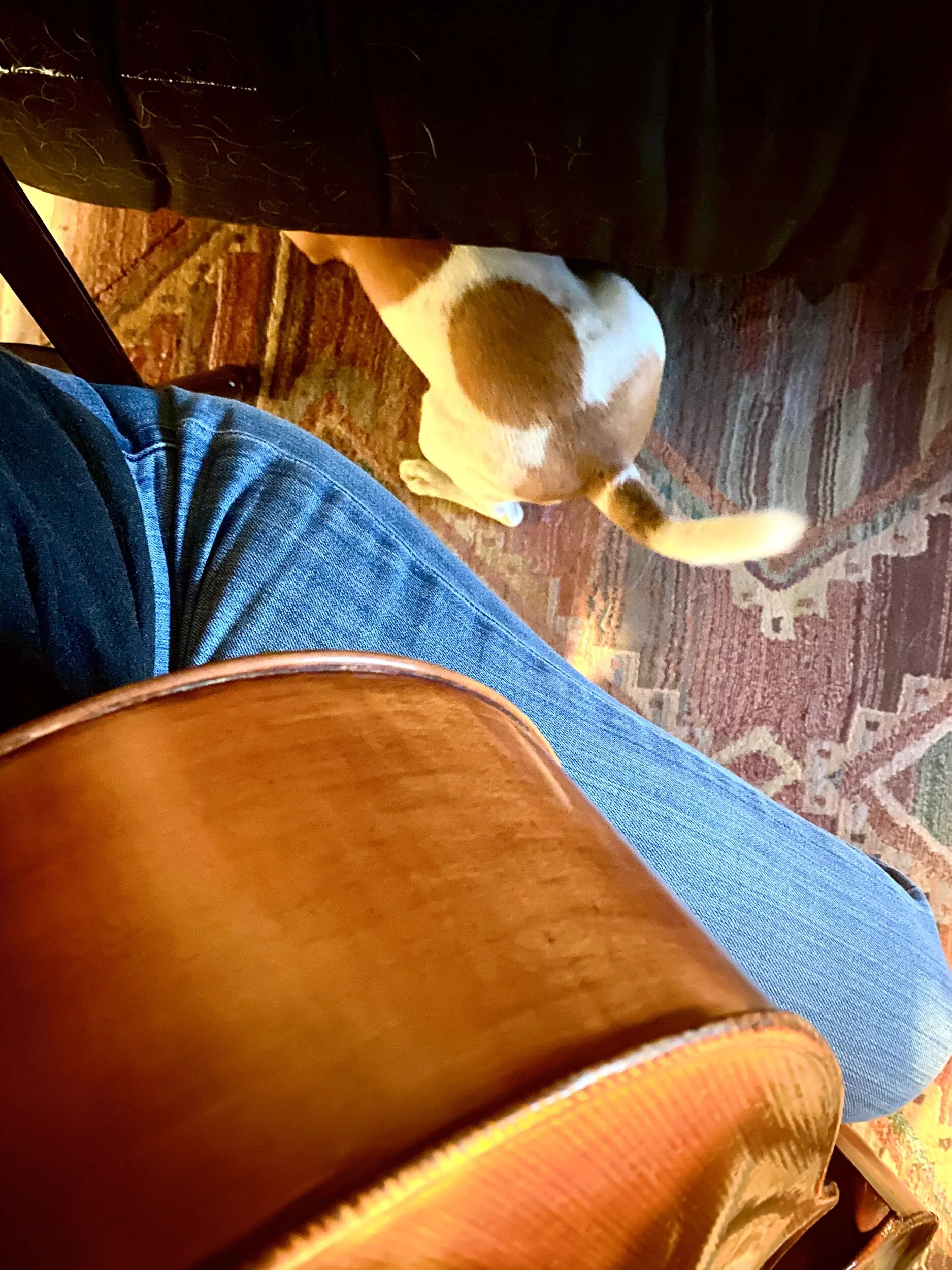 More from the COVID Cello Project