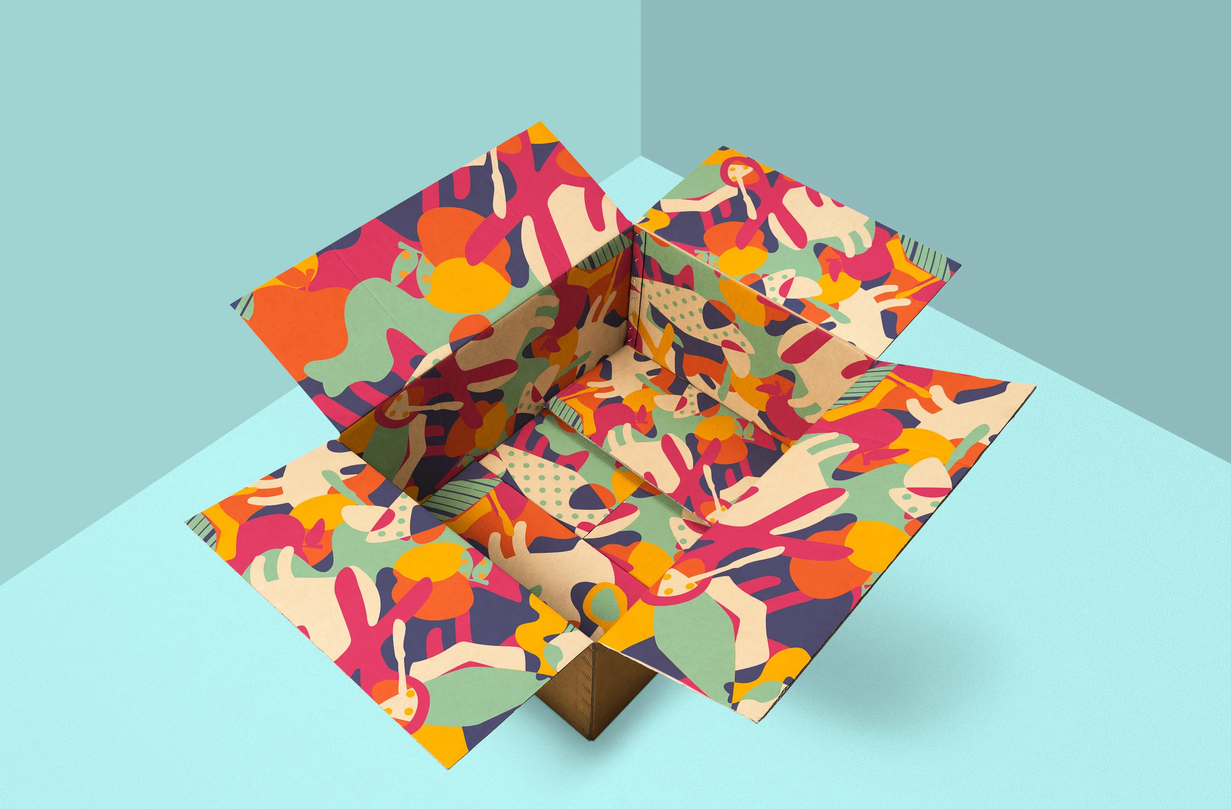 box open.jpg