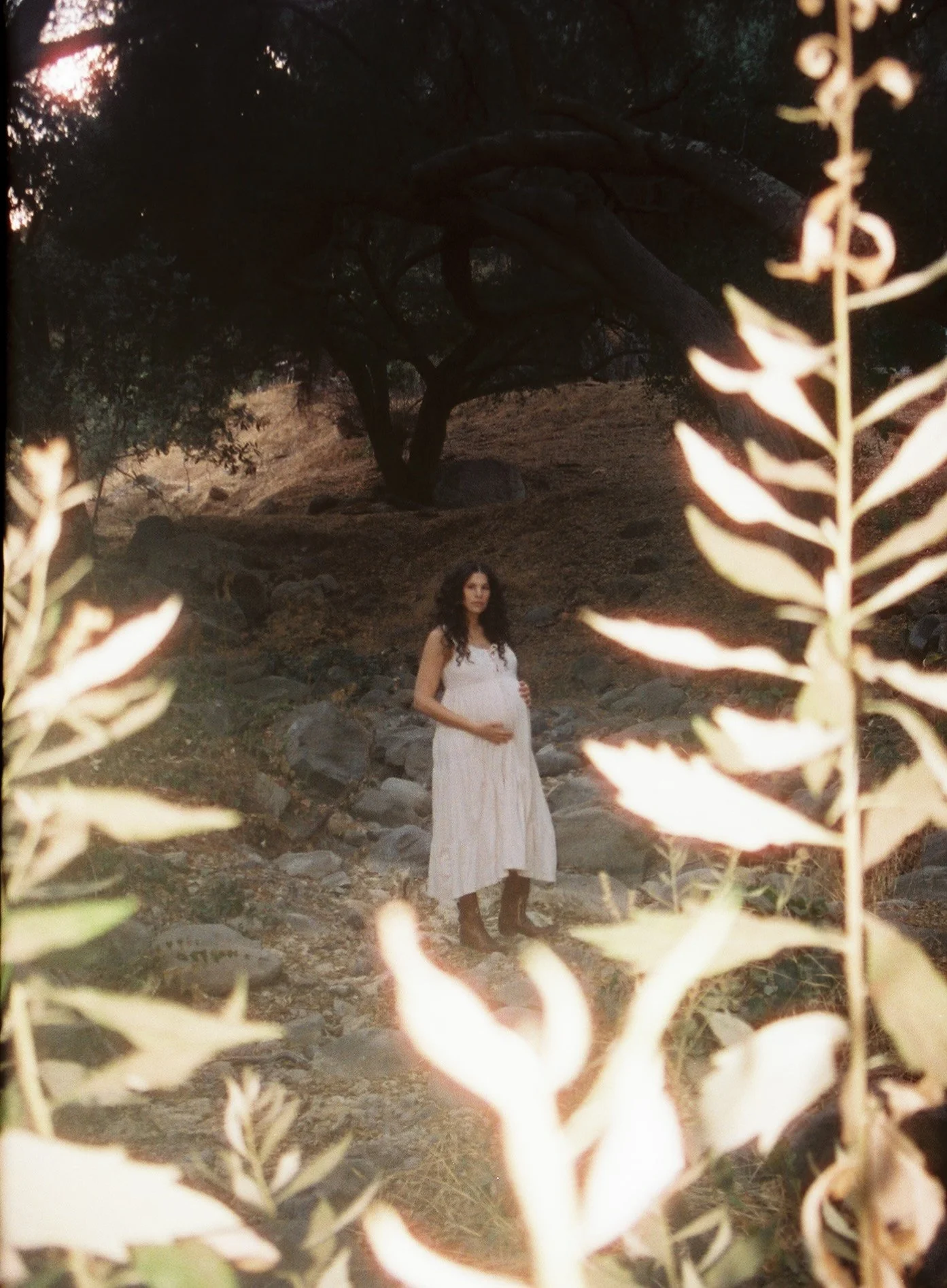Copy of 1956000_1956000-R1-E005.jpeg