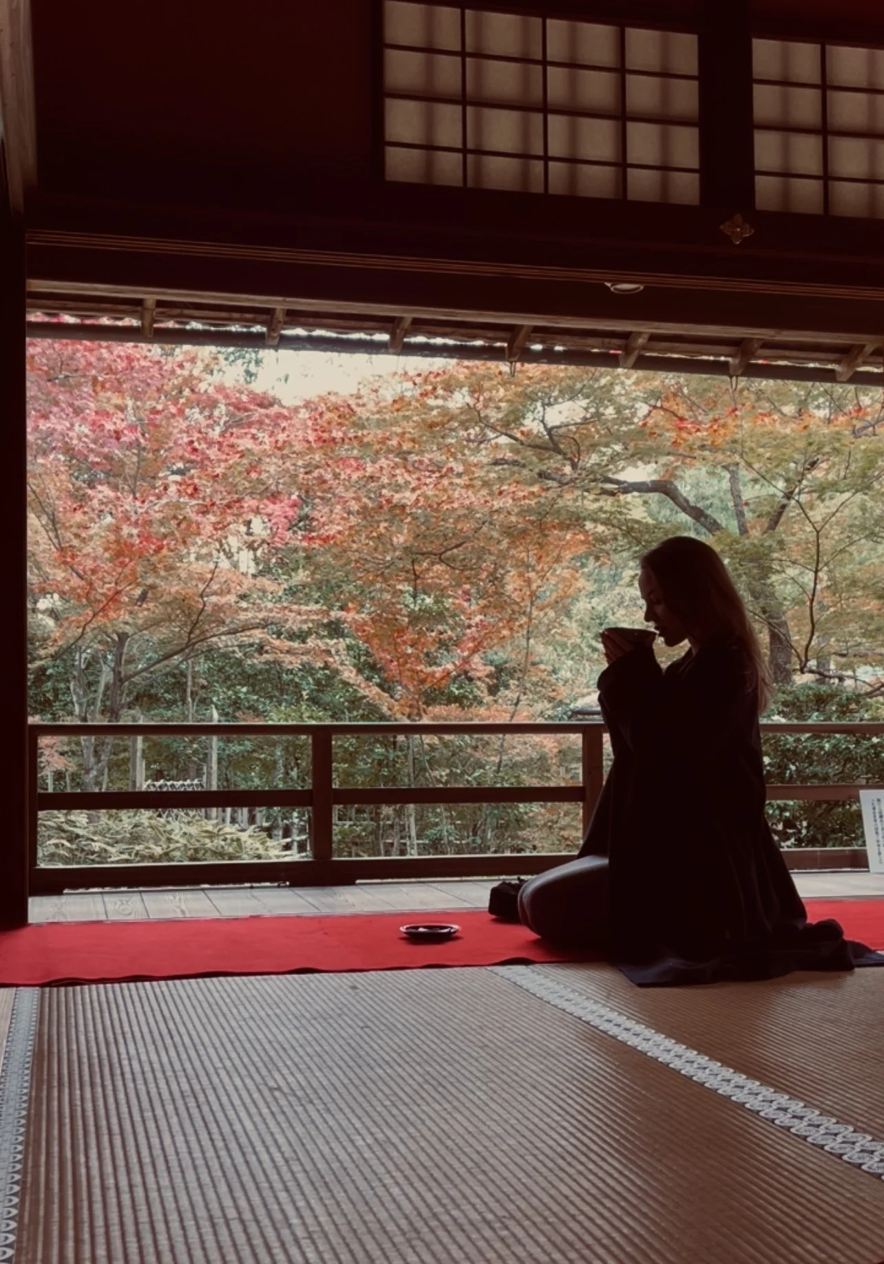 IMG_2875.jpg