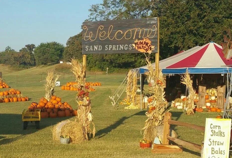 5 MustSee Local Pumpkin Patches TulsaGo®