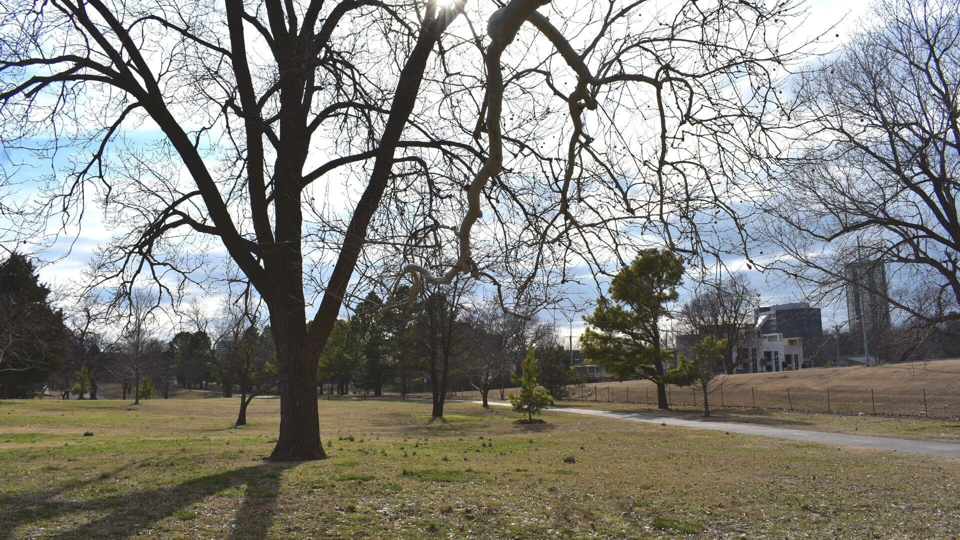 Maple Park in Tulsa OK USA - Explore the City with TulsaGo 8.jpg