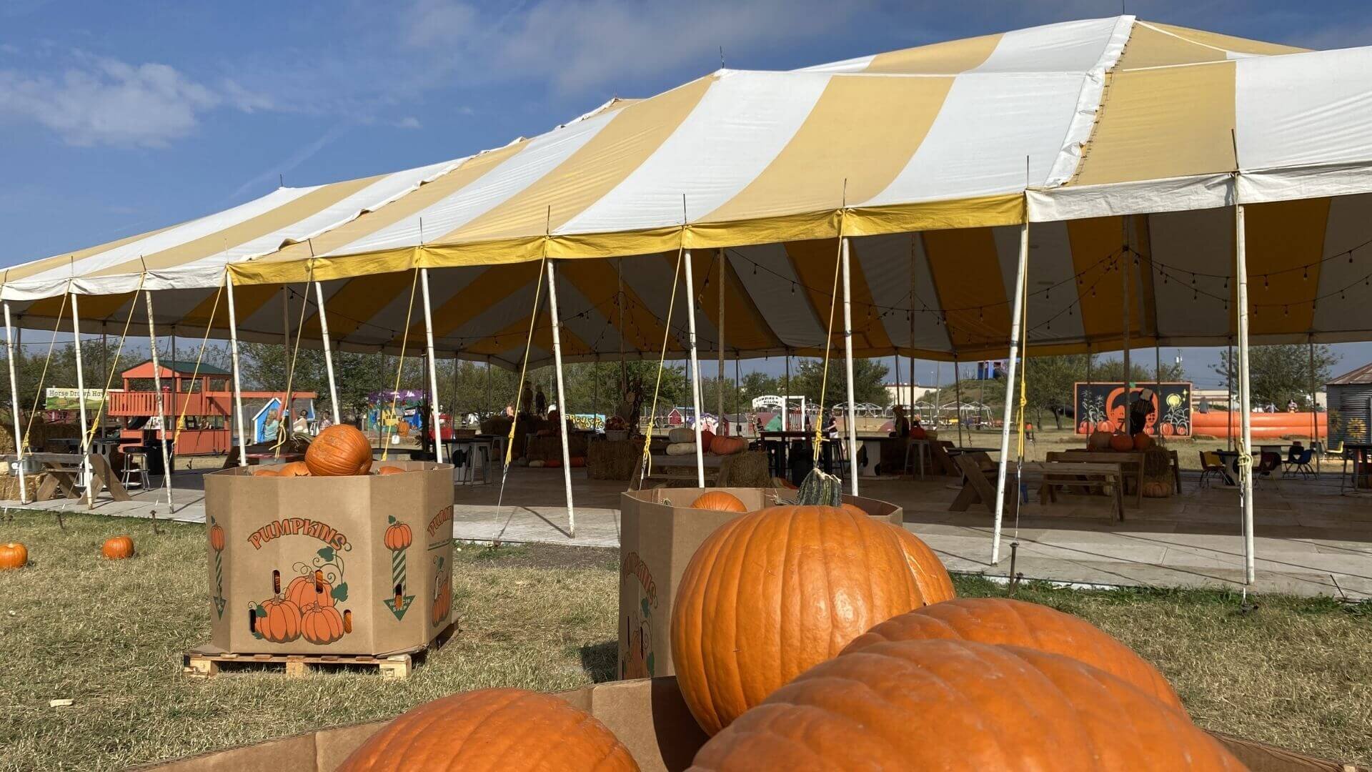 13 Pumpkin Town Farms - Discover and Visit Tulsa OK USA with TulsaGo.jpg