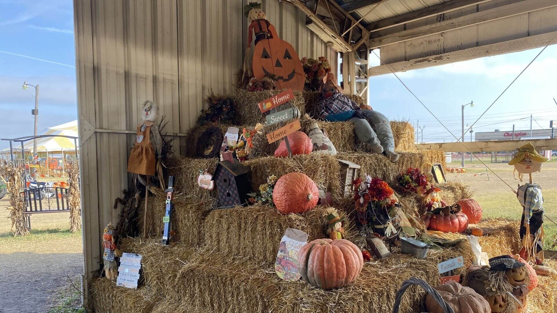 8 Pumpkin Town Farms - Discover and Visit Tulsa OK USA with TulsaGo.jpg