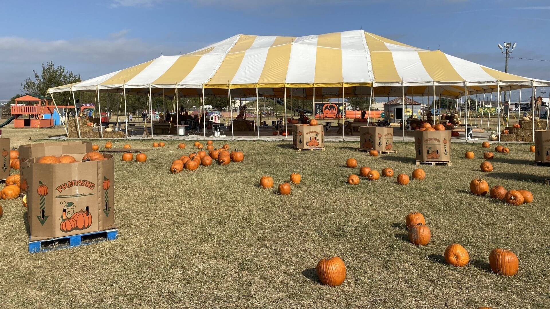 10 Pumpkin Town Farms - Discover and Visit Tulsa OK USA with TulsaGo.jpg