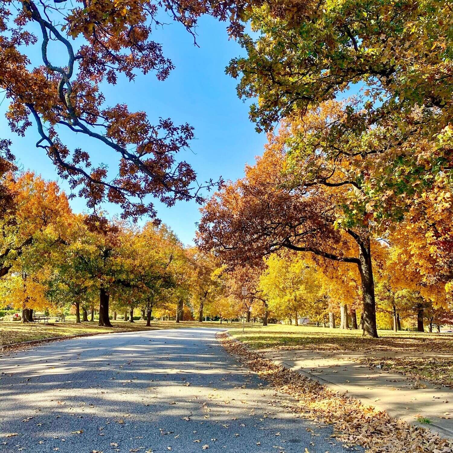 Tulsa Things to Do in the Fall - Woodward Park TulsaGo.jpg