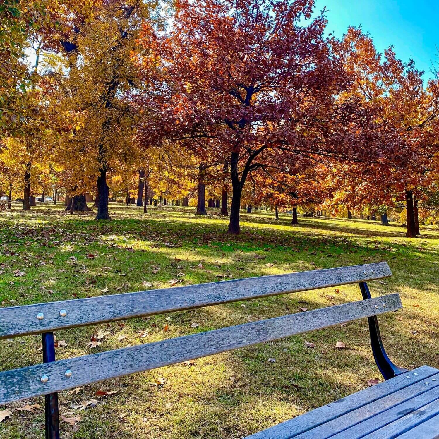 Tulsa Things to Do in the Fall - Woodward Park TulsaGo 4.jpg