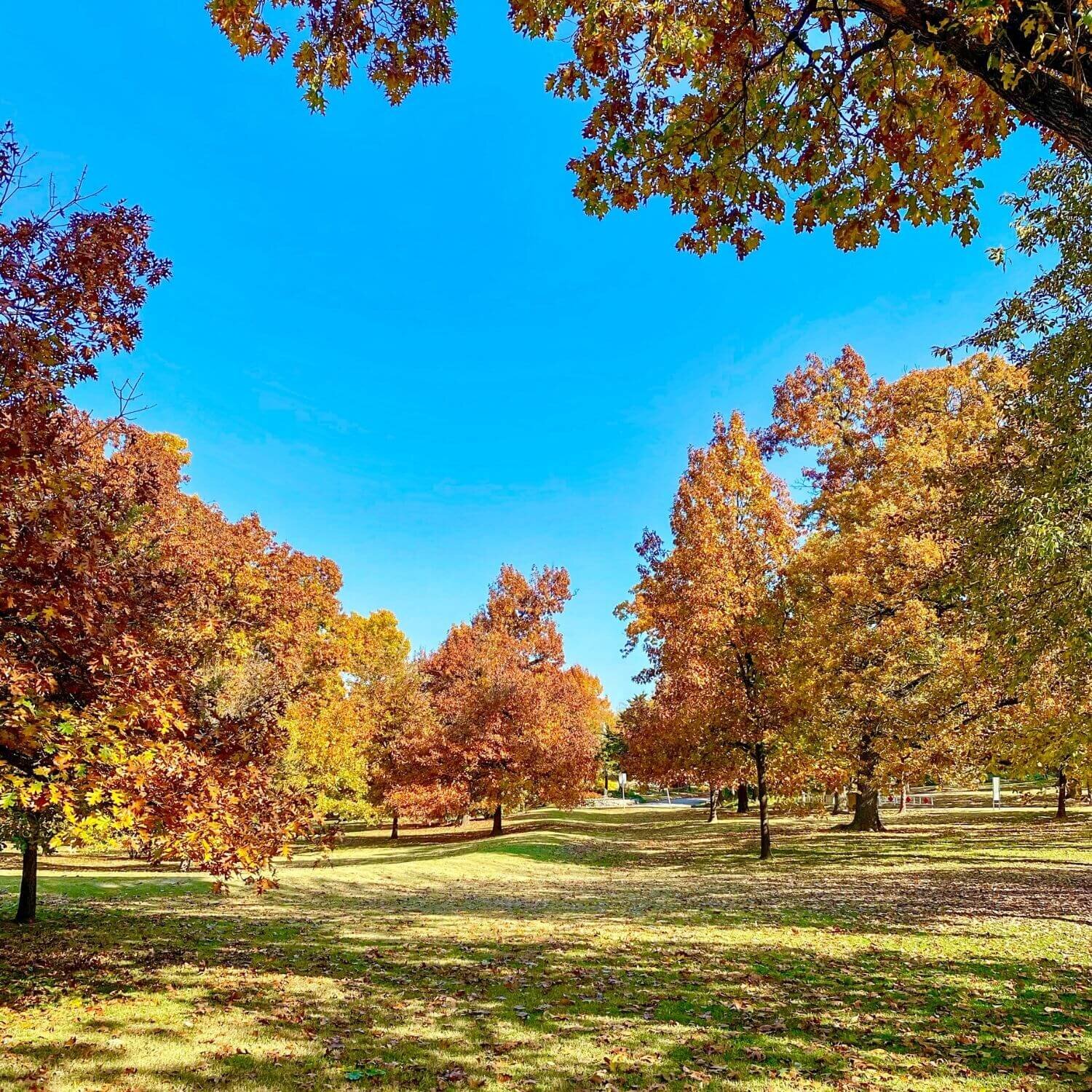 Tulsa Things to Do in the Fall - Woodward Park TulsaGo 5.jpg