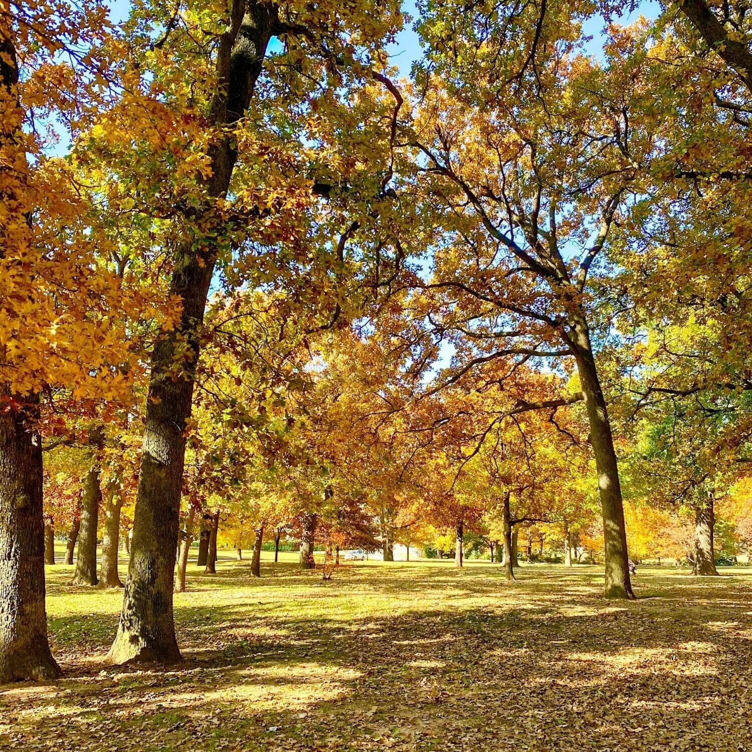 Tulsa Things to Do in the Fall - Woodward Park TulsaGo 2.jpg