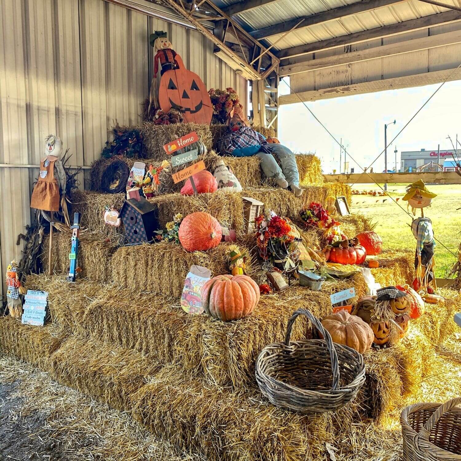 Visit Tulsa Pumpkin Patches - Things to Do by TulsaGo 3.jpg