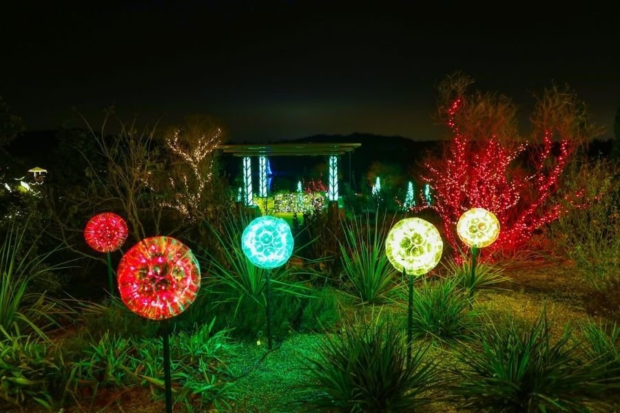 Tulsa Botanic Garden of Lights TulsaGo 5.jpg