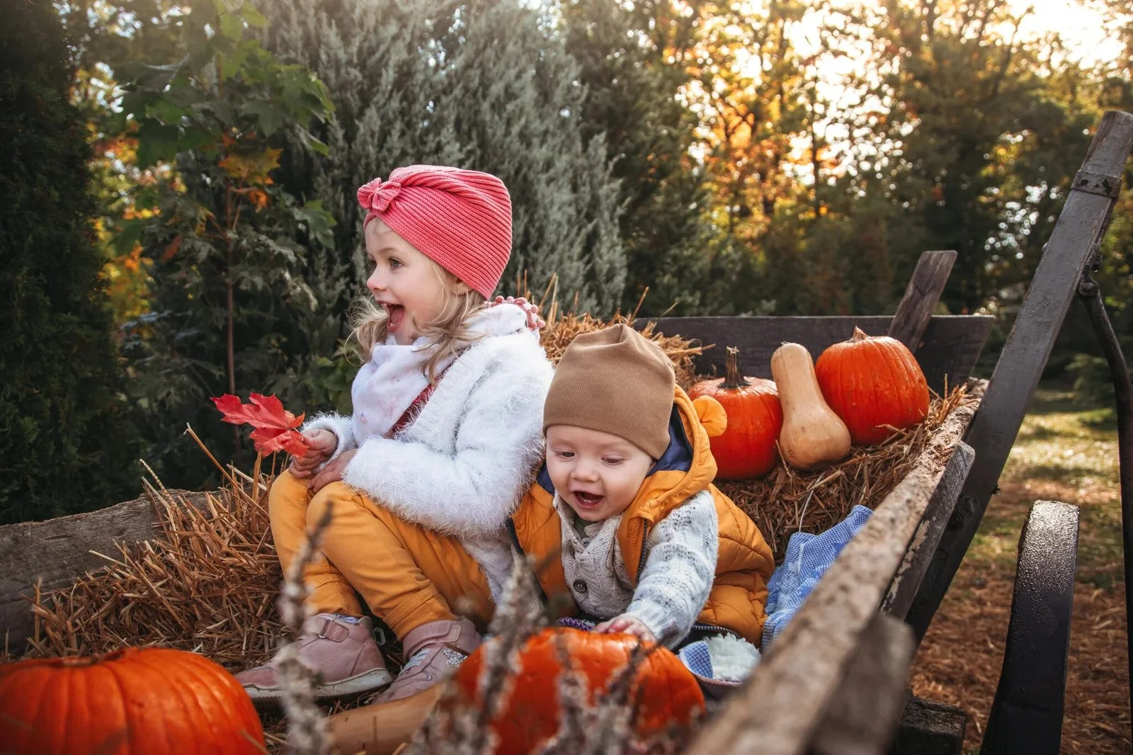 happy-children-at-pumpkin-farm-during-halloween-2026-03-15-23-21-27-utc-2048x1365.jpg