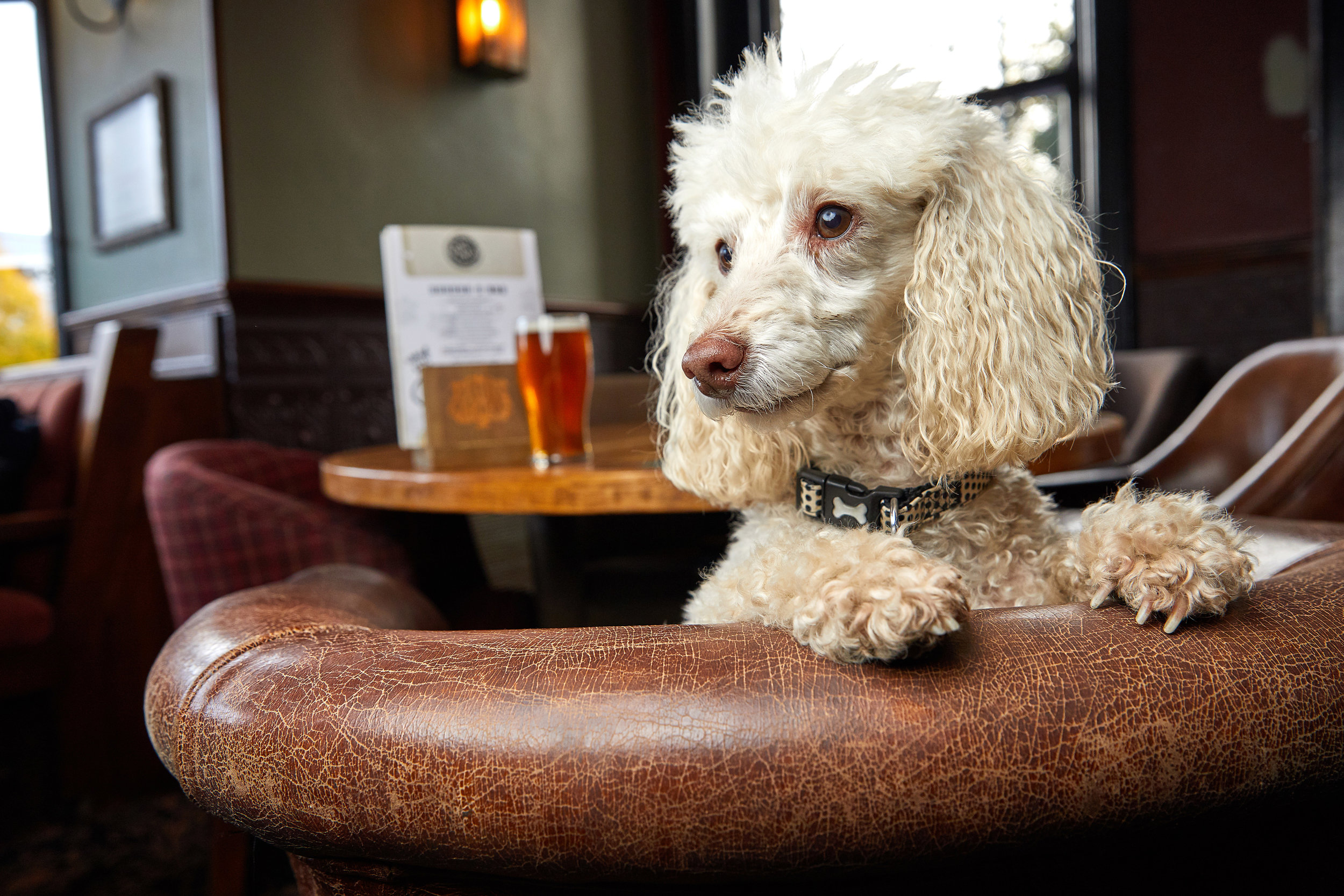 Darren&TedsTop5Pubs 10.jpg