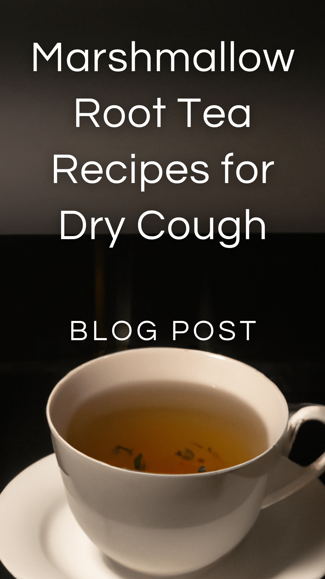 Marshmallow Root Tea Recipes for Dry Cough — Zhi Herbals