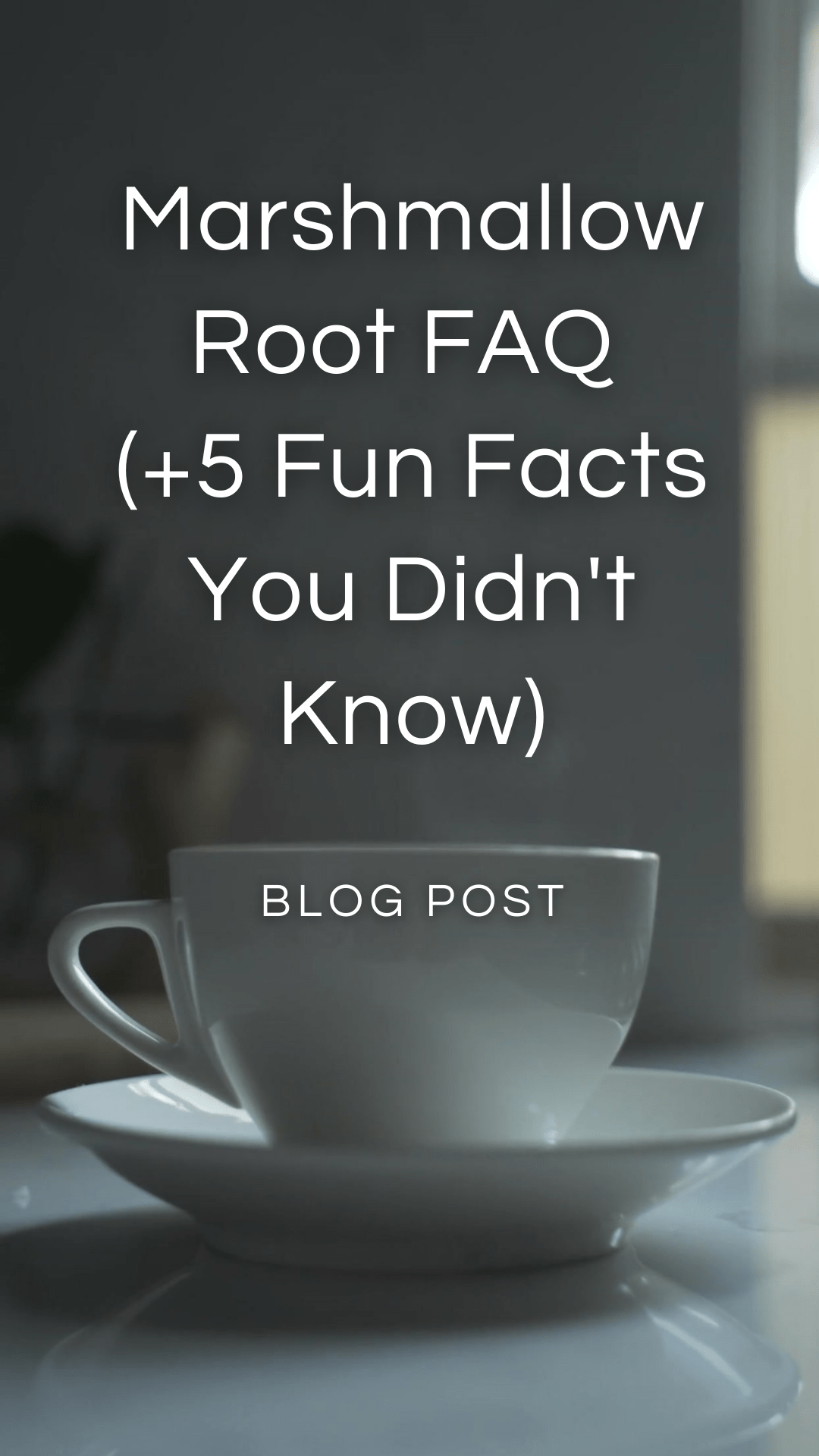 Marshmallow FAQ And Fun Facts — Zhi Herbals