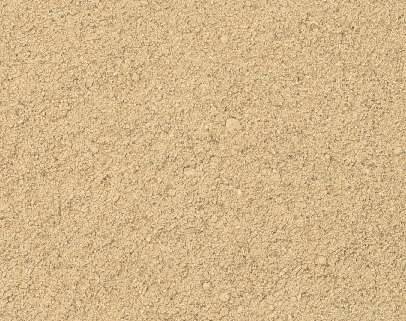 Burdock Root Organic Herbal Powder Vancouver Zoom.jpg